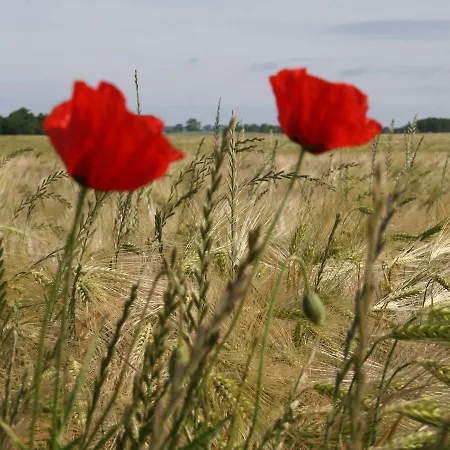 In Near The Holiday home
